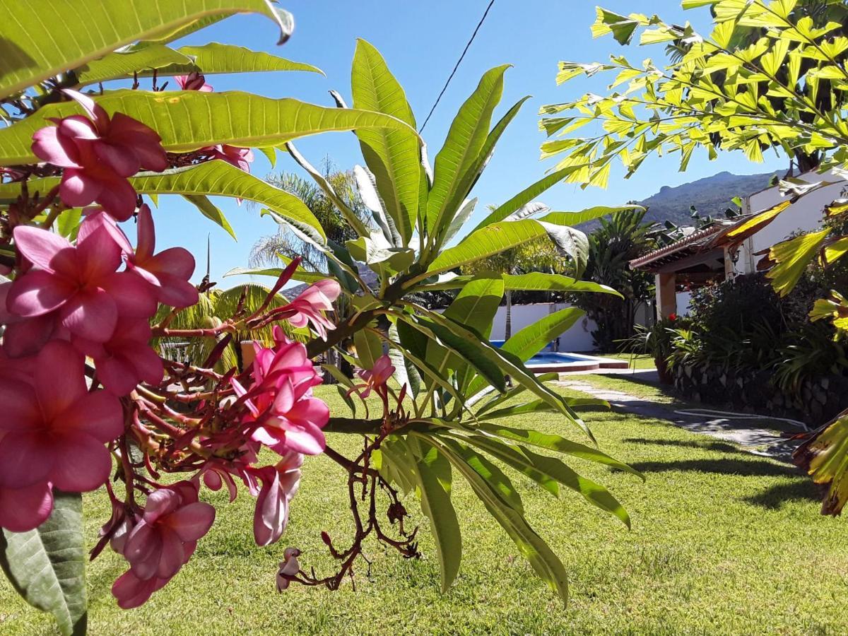 La Finca III Brena Baja Ngoại thất bức ảnh